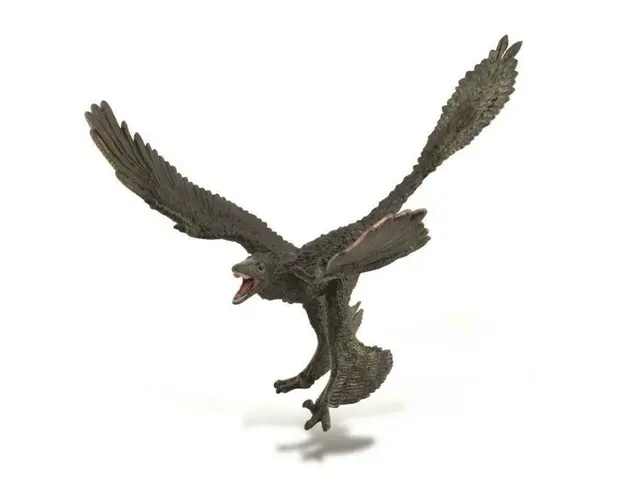 Collecta - Figurina dinozaur Microraptor pictata manual XL