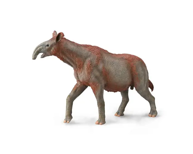 Collecta - Figurina preistorica pictata manual Paraceratherium