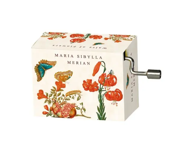 Fridolin - Flasneta Maria Sibylla Merian (fluturi), Tchaikovsky Walts of flowers