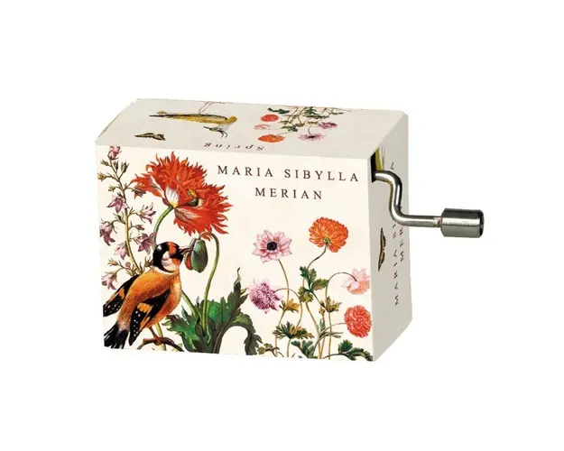Fridolin - Flasneta Maria Sibylla Merian (pasari), Vivaldi Spring
