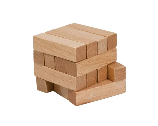 Fridolin - Joc logic IQ din lemn-14