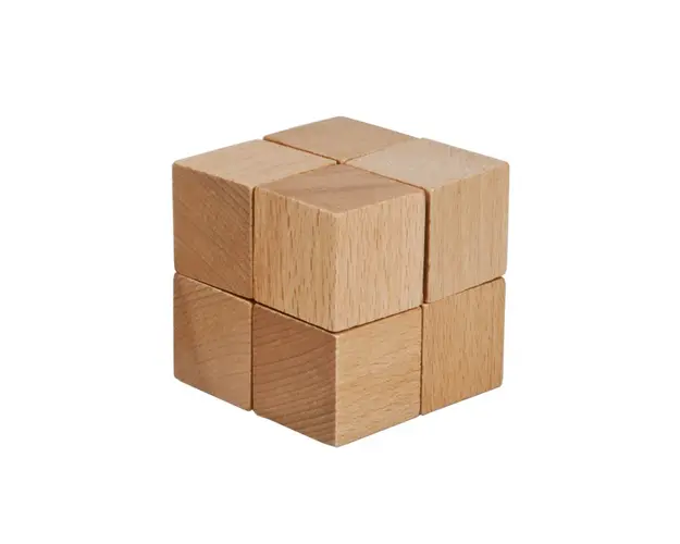 Fridolin - Joc logic IQ din lemn-15