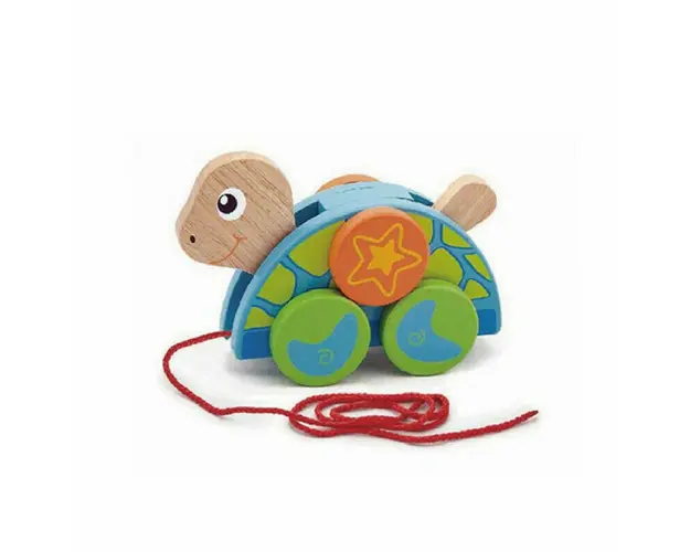 Jucarie de tras, Broscuta testoasa, Viga