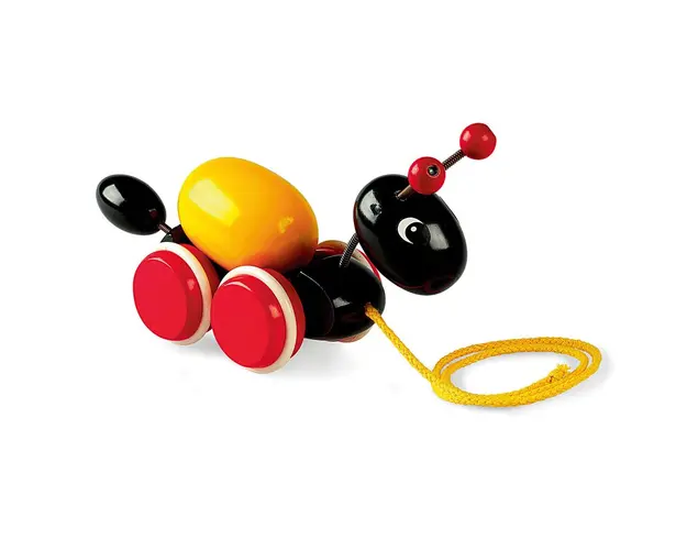 Brio - Jucarie De Tras Furnica Cu Ou