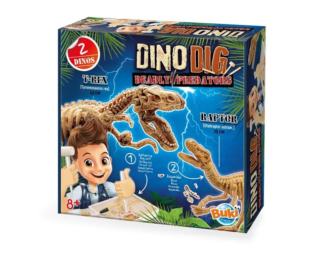 Kit de sapat - Dinozaur