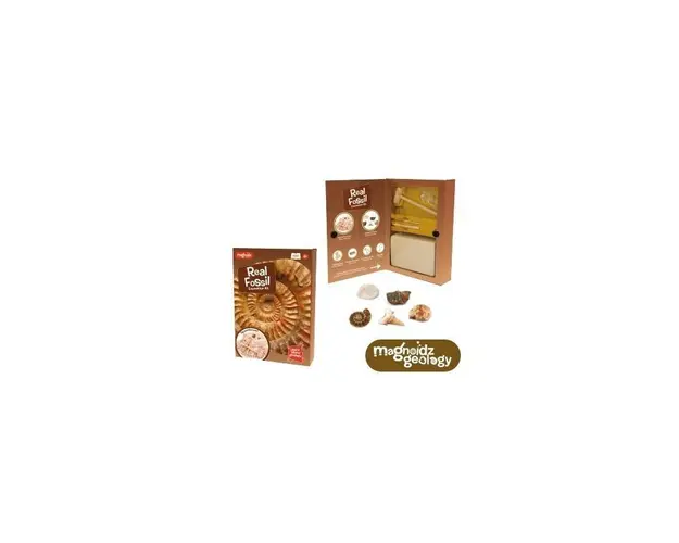Kit paleontologie - Descopera fosile
