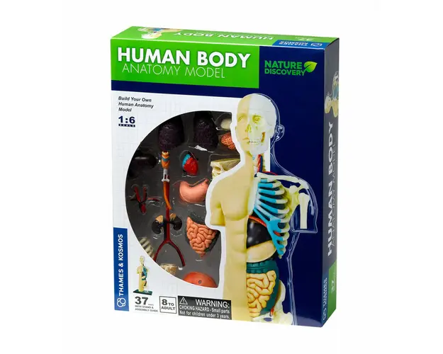 Kit STEM Anatomia corpului uman