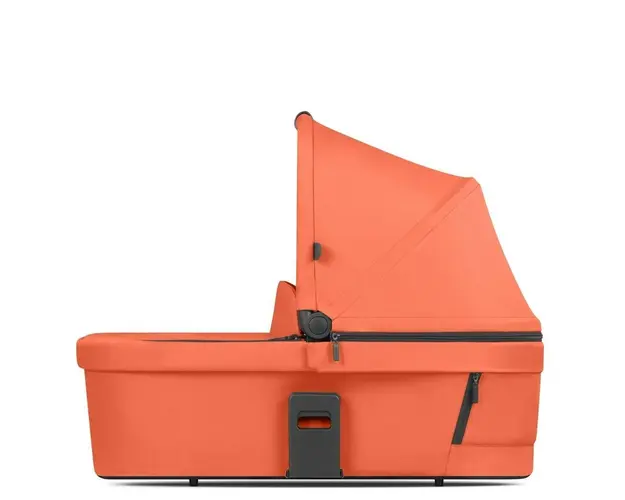 Landou Carrot Abc Design