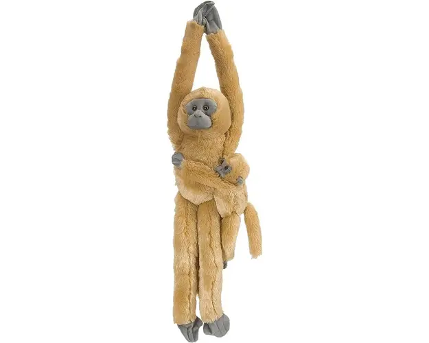 Maimuta care se agata Com Langur cu pui