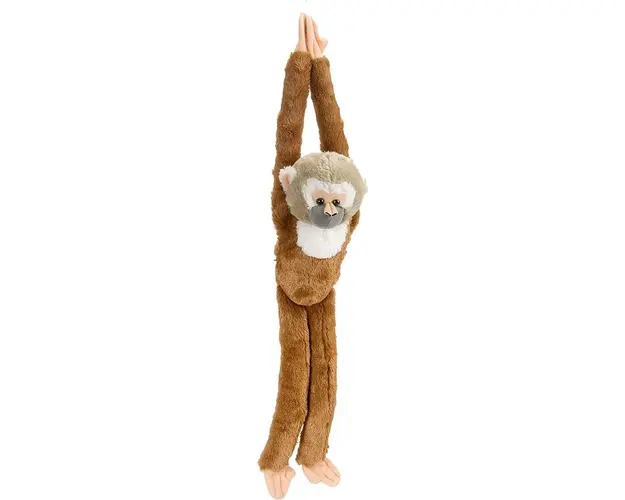 Maimuta care se agata Maimuta Veverita