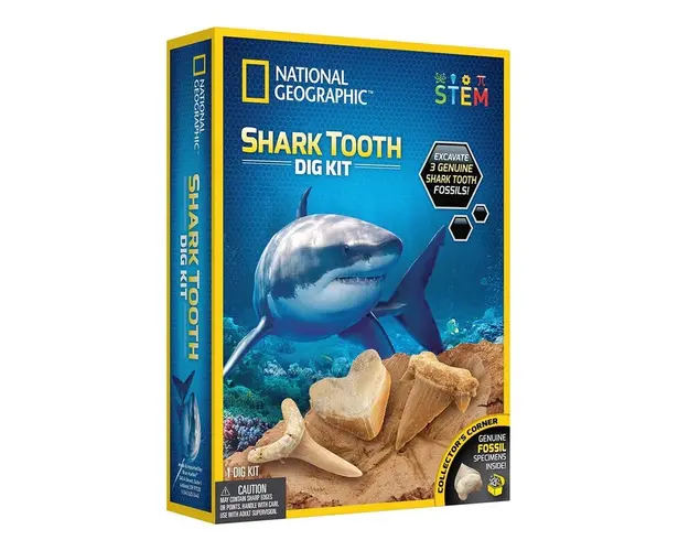 National Geographic - Kit Creativ Sa Cautam Dinti De Rechini