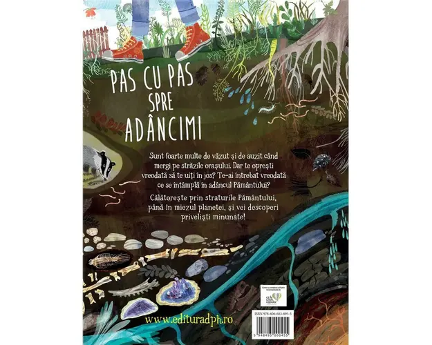 Pas cu pas spre adancimi