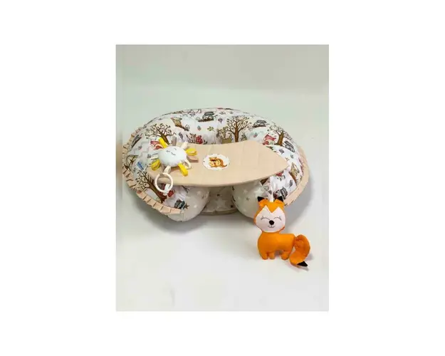 Perna transformabila reductor MyKids 0306 Forest Beige