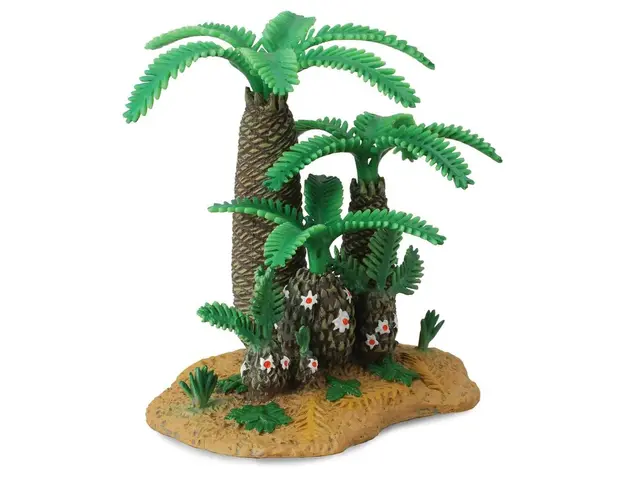 Collecta - Plantele Monanthesia si Cycadeoidea