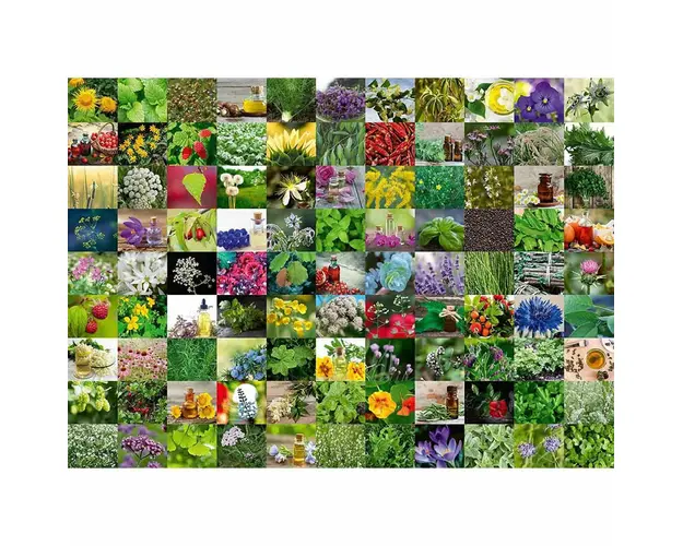Puzzle 99 De Plante Si Condimente, 1000 Piese