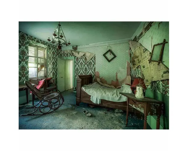Puzzle Camera Parasita, 1000 Piese
