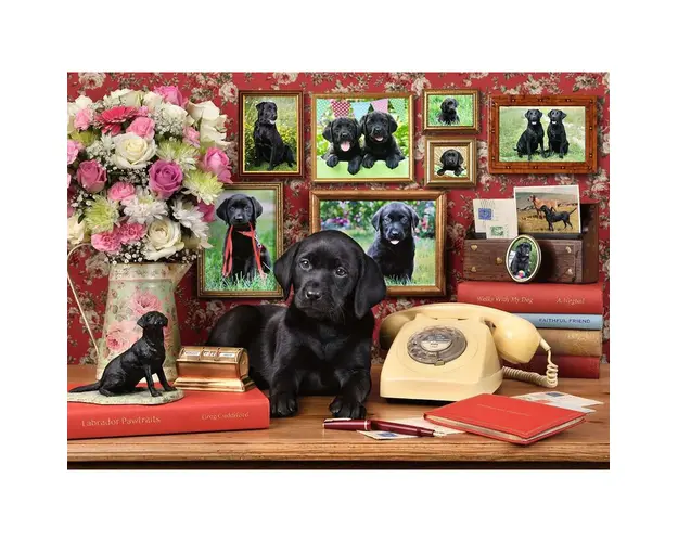 Puzzle Catel Loial, 500 Piese