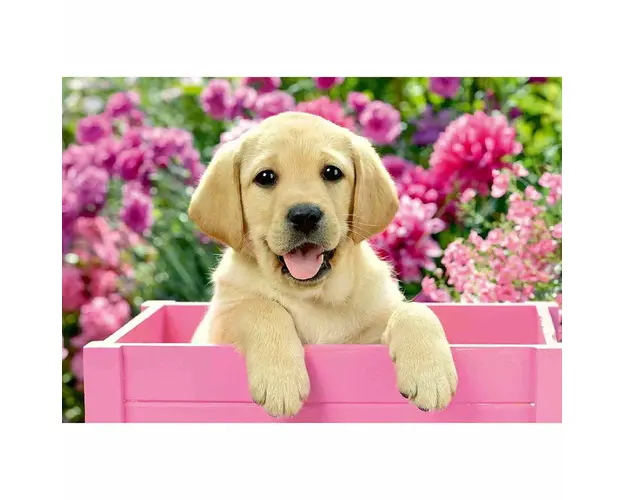 Puzzle Catelusi, 2X24 Piese
