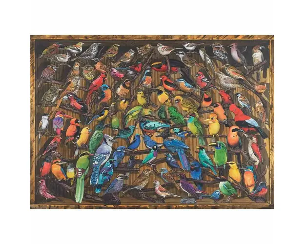 Puzzle Curcubeu De Pasari, 1000 Piese