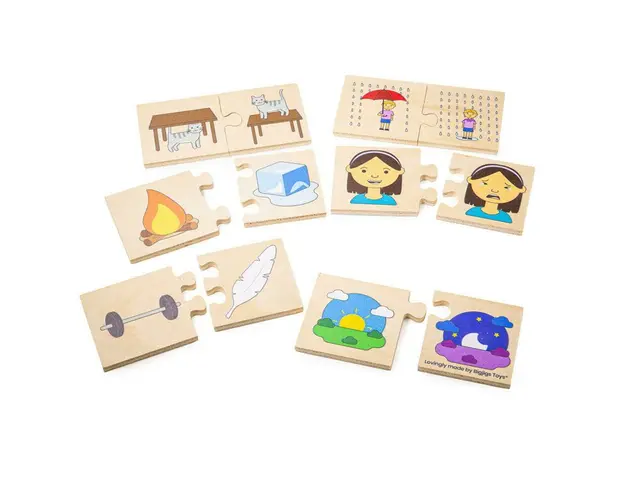 Puzzle din lemn - Notiuni opuse