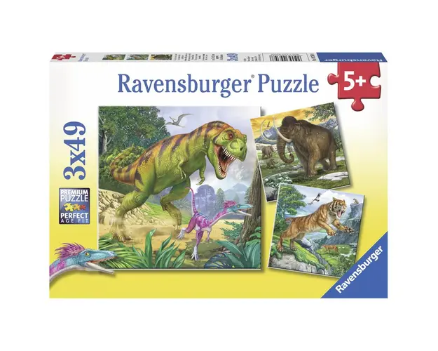 Puzzle Conducatori Primitivi, 3X49 Piese