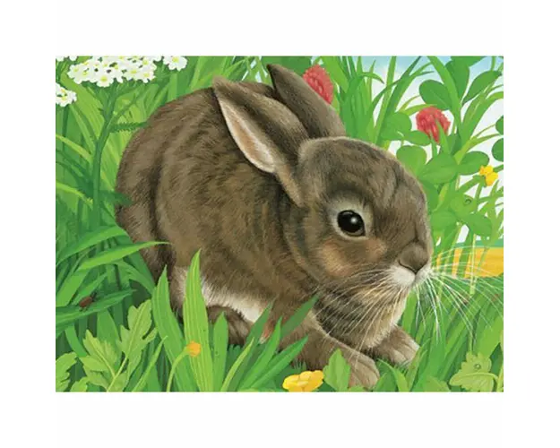 Puzzle In Cutie Animale, 12 Piese