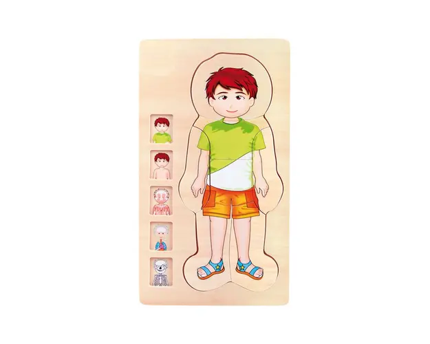 Puzzle multistrat de anatomie - baiat
