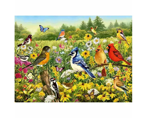 Puzzle Pasarele Colorate, 500 Piese