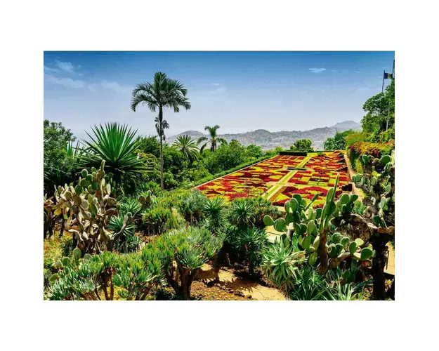 Puzzle peisaje, Ravensburger, Gradina botanica Madeira, 1000 piese, 12 ani+, Multicolor