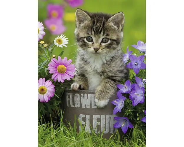 Puzzle Pisicuta Intre Flori, 100 Piese