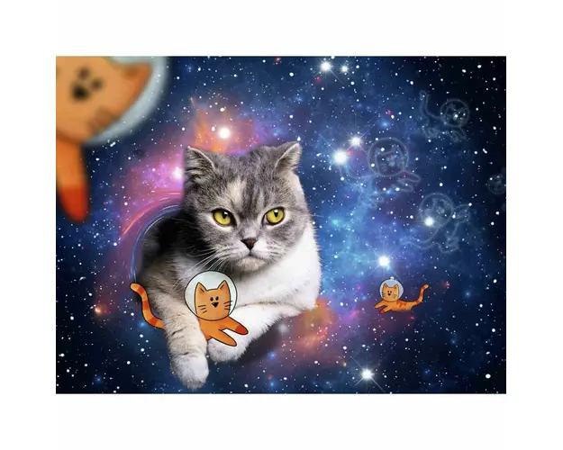 Puzzle Pisicute In Spatiu, 1500 Piese
