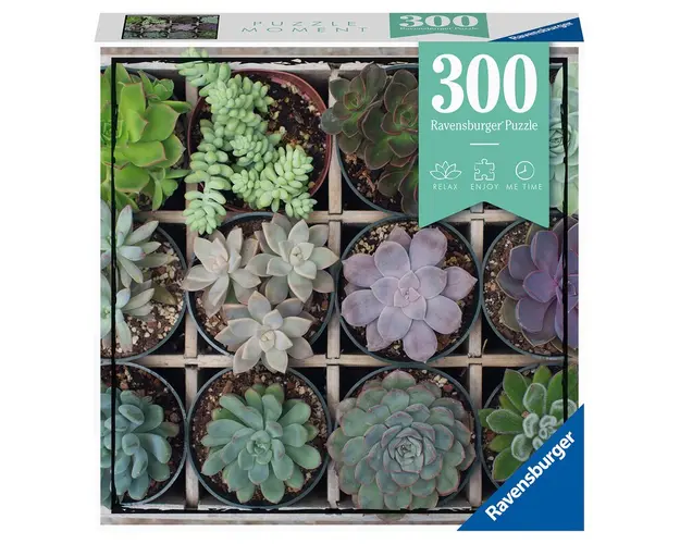 Puzzle Plante Suculente, 300 Piese