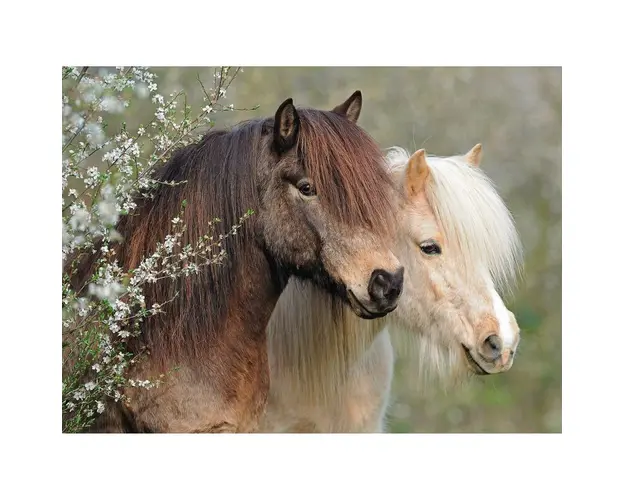 Puzzle Ponei, 150 Piese