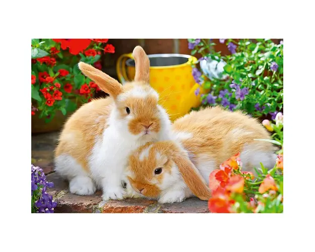 Puzzle Porcusor De Guinea Si Iepuras, 2X12 Piese