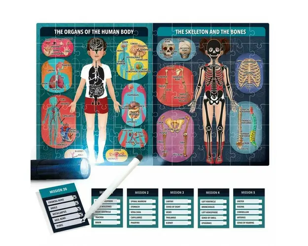 Headu Stem - Puzzle Radiografia Corpului Uman