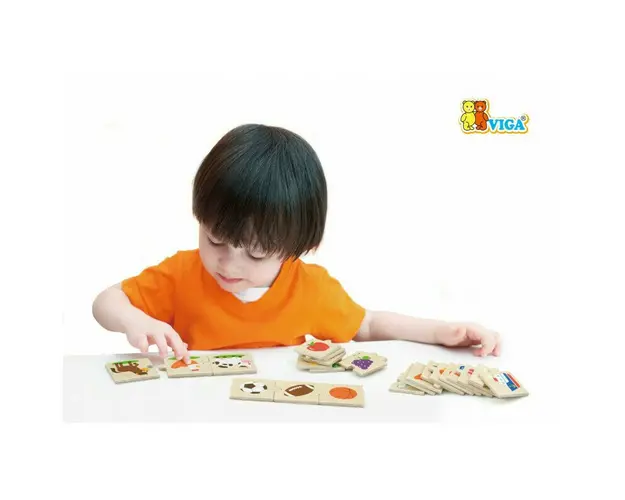 Viga - Puzzle sortator - Categorii,