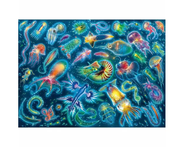Puzzle Specii Marine Colorate, 500 Piese