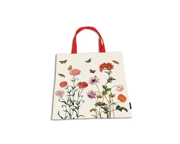 Fridolin - Sacosa Maria Sibylla Merian