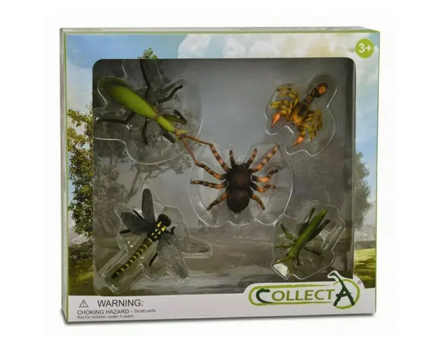 Collecta - Set 5 figurine Insecte