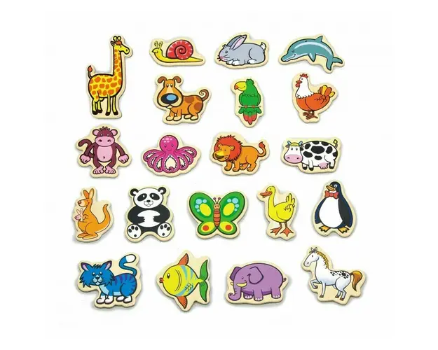 Viga - Set Animale magnetice