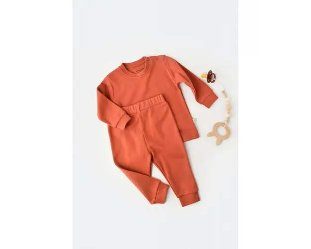Set bluzita cu maneca lunga si pantaloni lungi - bumbac organic 100% - Scortisoara, BabyCosy (Marime: 6-9 luni)