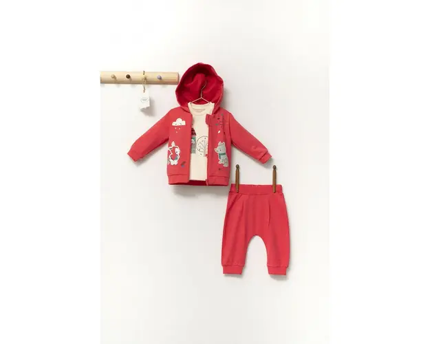 Set de 3 piese de trening Scufita rosie pentru bebelusi, Tongs baby (Marime: 9-12 luni, Culoare: Corai)