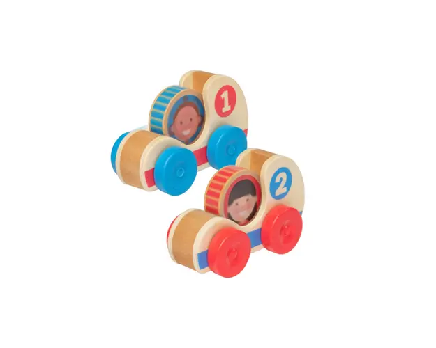 Set de doua masinute din lemn colectia GO TOTs