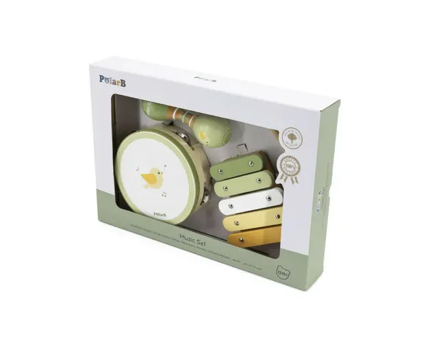 Set de jucarii muzicale Pasari, PolarB Viga