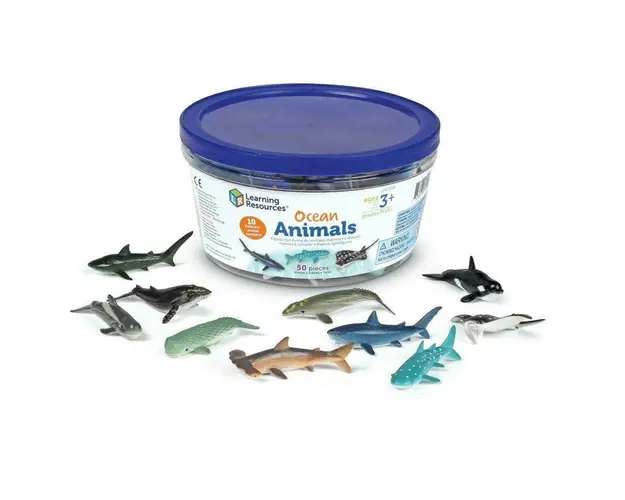 Set de sortat - Animalute din ocean