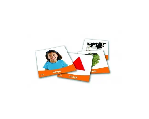 Set imagini vocabularul de baza