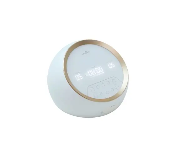 Pompa de san electrica premium DUAL S