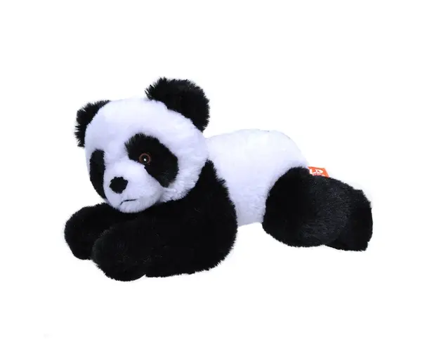 Wild republic - Urs Panda Ecokins - Jucarie Plus 20 cm