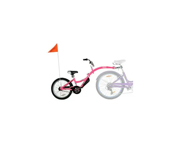 Bicicleta Co-Pilot Roz WeeRide WR06PK