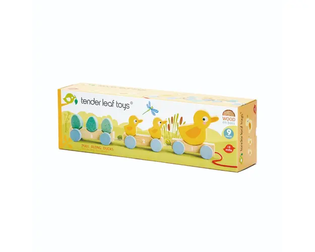 Trenuletul tractabil din lemn cu ratuste, Tender Leaf Toys, 9 piese